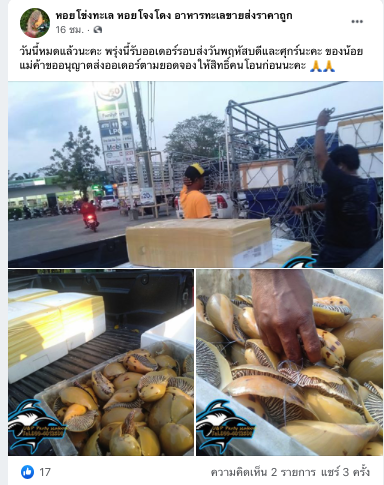 หอยกระโจงโดง คืออะไร 'ของอร่อย' หรือ สมบัติล้ำค่าหลังพบ 'ไข่มุกเมโล' หอยกระโจงโดง คืออะไร 'ของอร่อย' หรือ สมบัติล้ำค่าหลังพบ 'ไข่มุกเมโล'