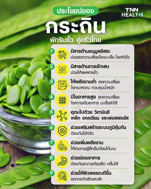 ประโยชน์ของกระถินผักริมรั้ว คู่ครัวไทย ประโยชน์ของกระถินผักริมรั้ว คู่ครัวไทย