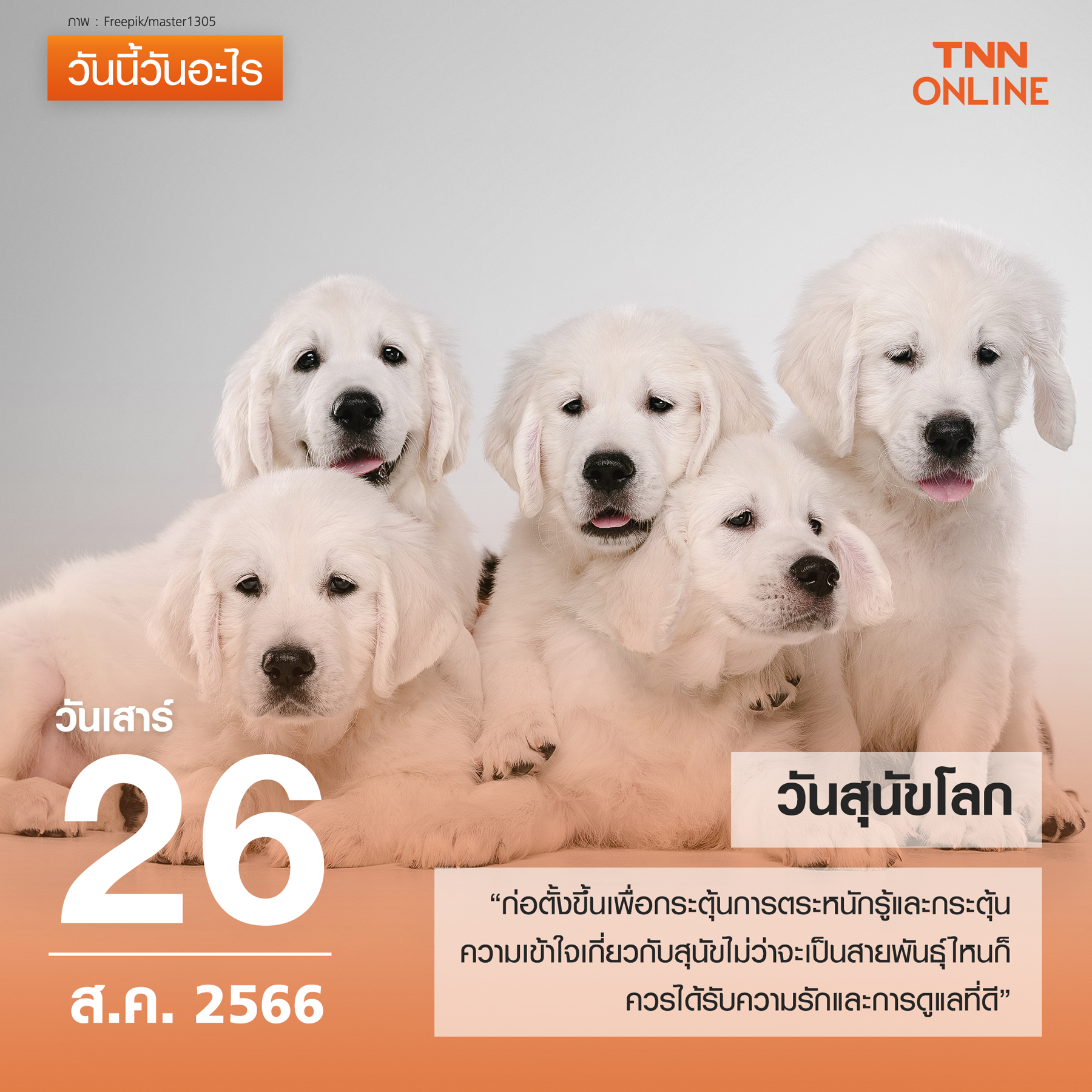 วันนี้วันอะไร วันที่ 26 สิงหาคม ของทุกปี ตรงกับ “วันสุนัขโลก”
