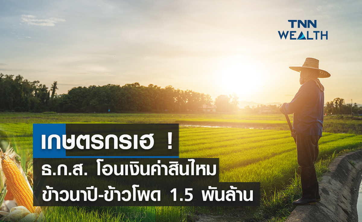 เกษตรกรเฮ ! ธ.ก.ส. โอนเงินค่าสินไหมข้าวนาปี-ข้าวโพดเลี้ยงสัตว์  1.5 พันล้านบาท