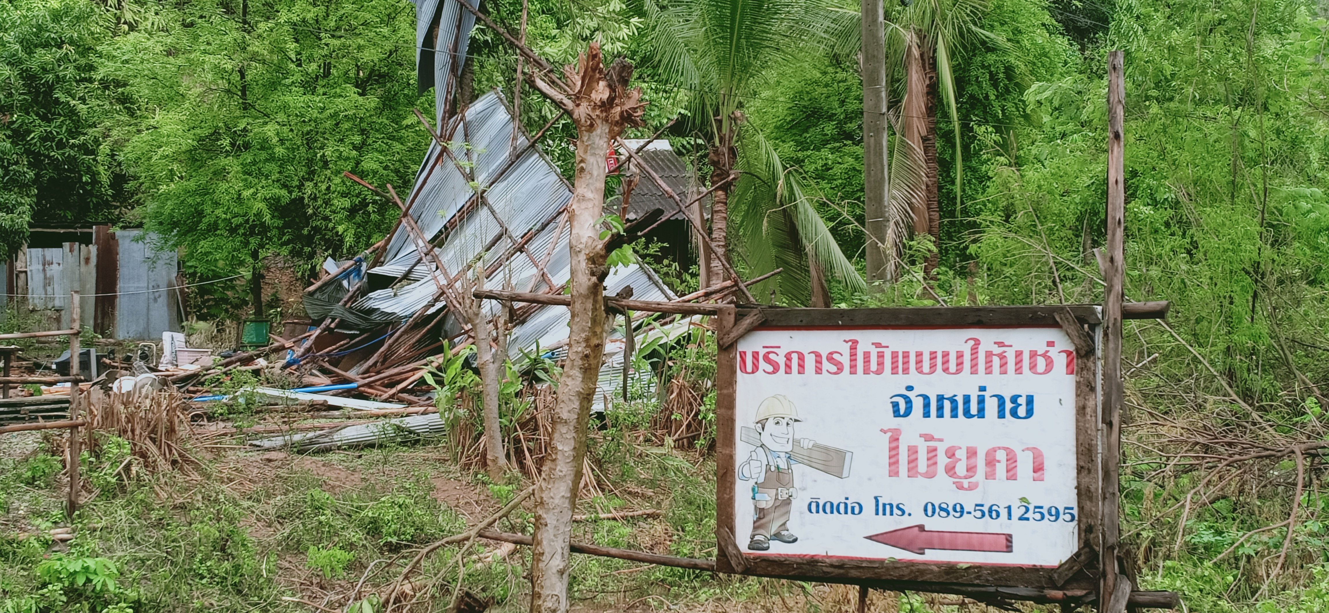 พายุลมแรงฝนหนักต้นไม้ทับรถเสียหายเพียบ