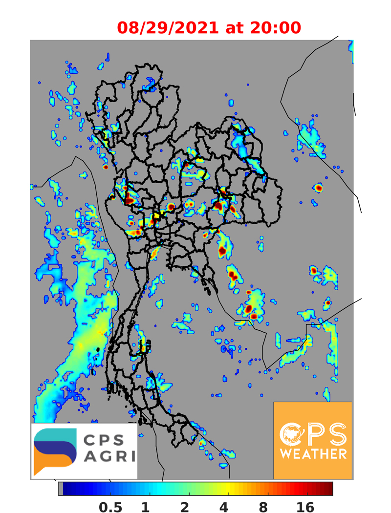พยากรณ์ฝนวันนี้ พื้นที่ไหนชุ่มฉ่ำ ตกหนัก-เบา เช็กเลย!