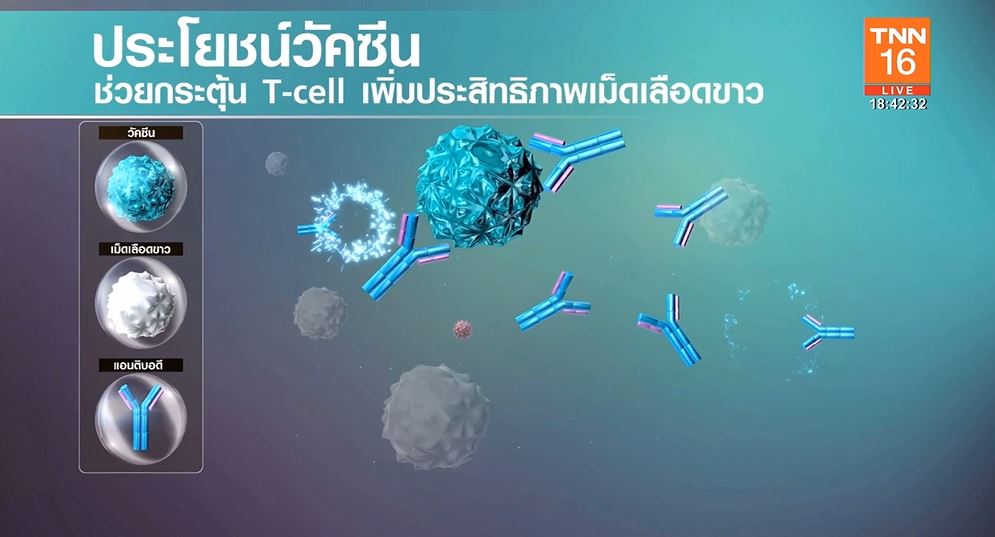 เปิดประสิทธิภาพวัคซีนโควิด ซิโนแวค 