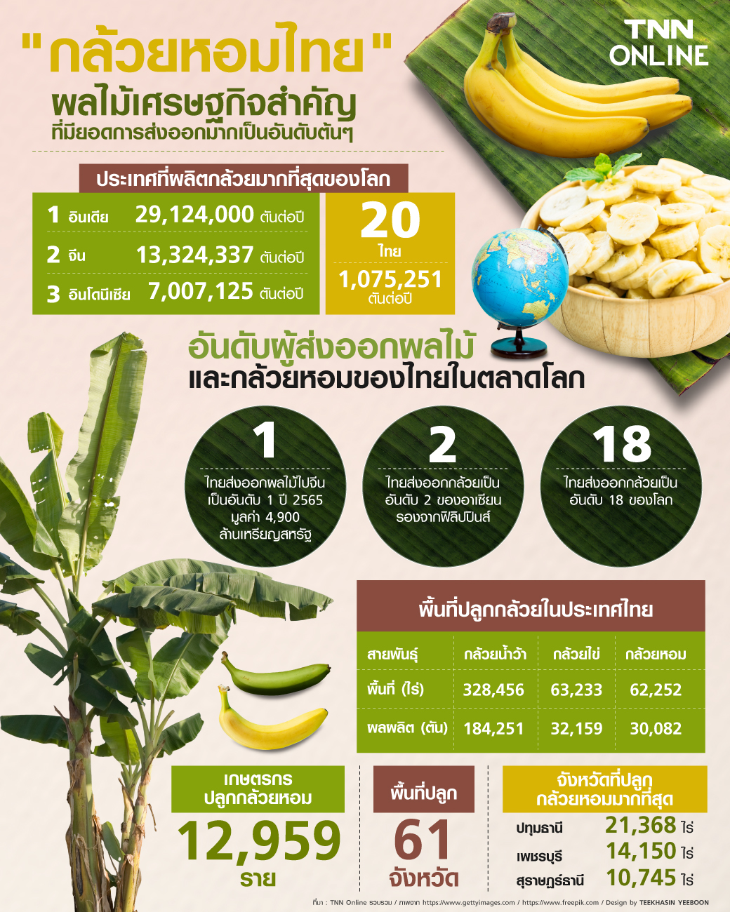 กล้วยหอมไทย ผลไม้ยืนหนึ่ง ราคาสูง ผลไม้เศรษฐกิจที่สำคัญที่มียอดการส่งออกมากเป็นอันดับต้นๆ กล้วยหอมไทย ผลไม้ยืนหนึ่ง ราคาสูง ผลไม้เศรษฐกิจที่สำคัญที่มียอดการส่งออกมากเป็นอันดับต้นๆ