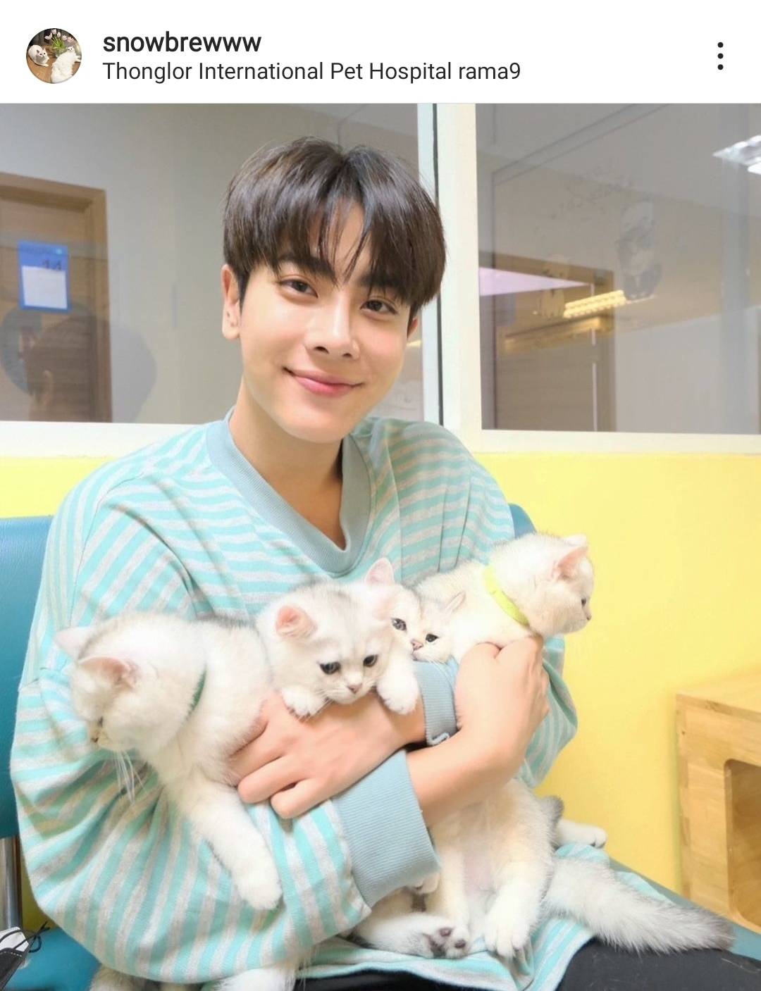 4 มิถุนายน วันกอดแมวสากล รวมหนุ่มๆคนบันเทิงทาสแมว 4 มิถุนายน วันกอดแมวสากล รวมหนุ่มๆคนบันเทิงทาสแมว