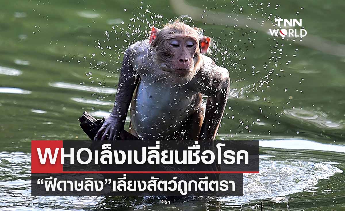 อนามัยโลกเล็งเปลี่ยนชื่อ “โรคฝีดาษลิง” เลี่ยงสัตว์ถูกตีตรา 