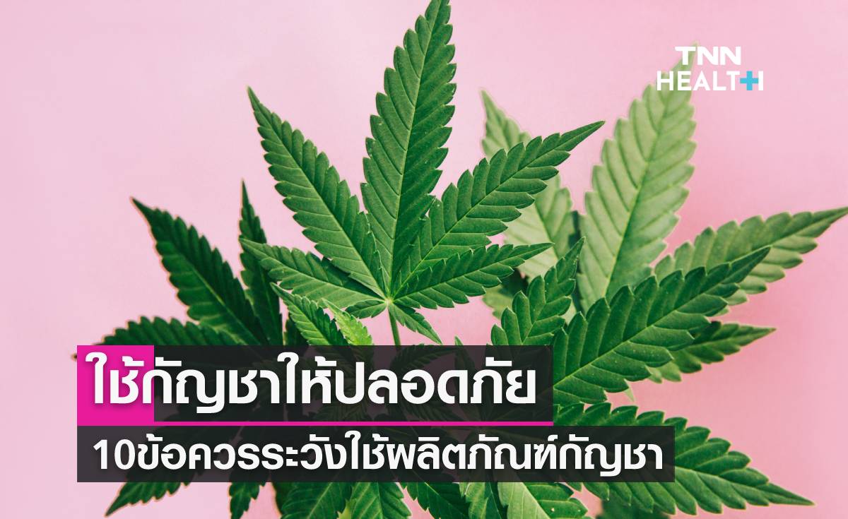 ใช้กัญชาให้ปลอดภัย เช็ก 10 ข้อควรระวังในการใช้ผลิตภัณฑ์กัญชา ใช้กัญชาให้ปลอดภัย เช็ก 10 ข้อควรระวังในการใช้ผลิตภัณฑ์กัญชา