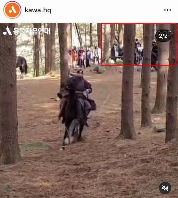 ล่ารายชื่อเอาผิด!! ซีรีส์ดังเกาหลีทารุณม้าเข้าฉากจนเสียชีวิต?
