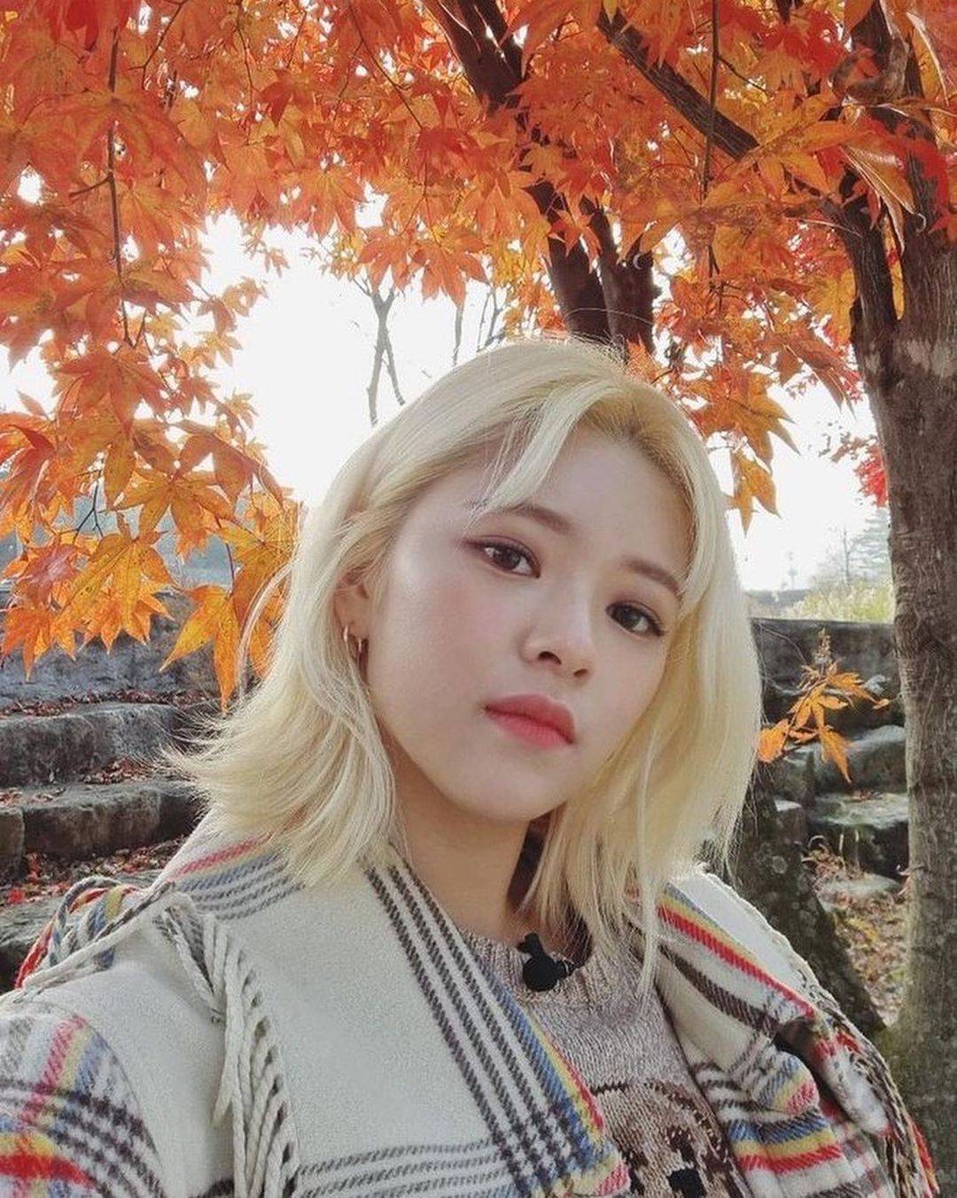 จองยอน ไม่สบาย ทำให้เธอไม่สามารถขึ้นโชว์ประเดิมเวิลด์ทัวร์กับเพื่อนร่วมวง TWICE ที่กรุงโซลได้