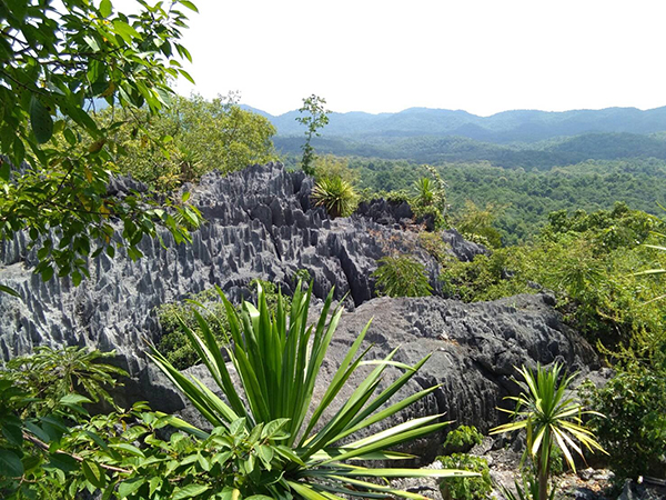 10 ที่เที่ยวแพร่ 2565 สัมผัสเสน่ห์เมืองล้านนา เมืองรองต้องห้ามพลาด
