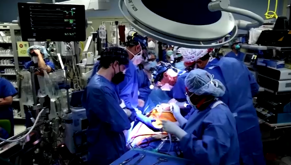 ครั้งแรกของโลก! ผ่าตัดปลูกถ่ายหัวใจหมูในมนุษย์ได้สำเร็จ