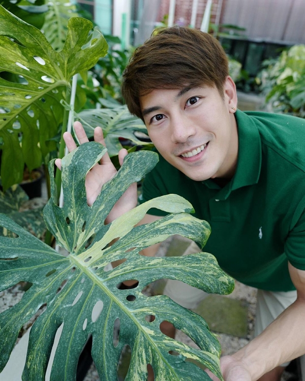 เคน ภูภูมิ ไลฟ์ประมูลต้นไม้ ได้ 8 แสนกว่า สมบททุนให้ครบ 1 ล้าน มอบให้โรงพยาบาล เคน ภูภูมิ ไลฟ์ประมูลต้นไม้ ได้ 8 แสนกว่า สมบททุนให้ครบ 1 ล้าน มอบให้โรงพยาบาล