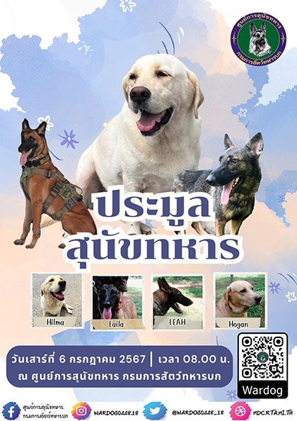 ประมูลสุนัขทหาร 2567 ใครอยากเป็นเจ้าของ เช็กขั้นตอน - เอกสารต้องใช้ ได้ที่นี่ ประมูลสุนัขทหาร 2567 ใครอยากเป็นเจ้าของ เช็กขั้นตอน - เอกสารต้องใช้ ได้ที่นี่