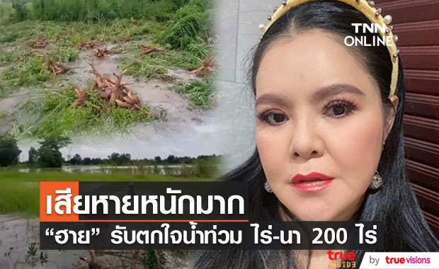 "ฮาย อาภาพร" โอดน้ำท่วมหนัก ทั้งไร่-นาเสียหายกว่า 200 ไร่