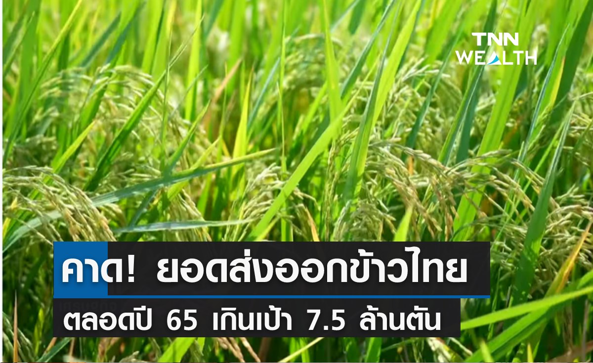 คาด! ยอดส่งออกข้าวไทยทั้งปี 65 เกินเป้า 7.5 ล้านตัน คาด! ยอดส่งออกข้าวไทยทั้งปี 65 เกินเป้า 7.5 ล้านตัน