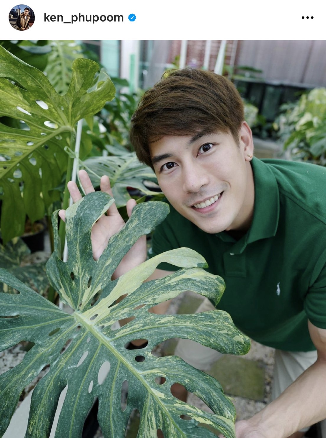จากหลักร้อยสู่หลักล้าน เคน ภูภูมิ เผยรายได้สุดปังจากการขายต้นไม้ จากหลักร้อยสู่หลักล้าน เคน ภูภูมิ เผยรายได้สุดปังจากการขายต้นไม้