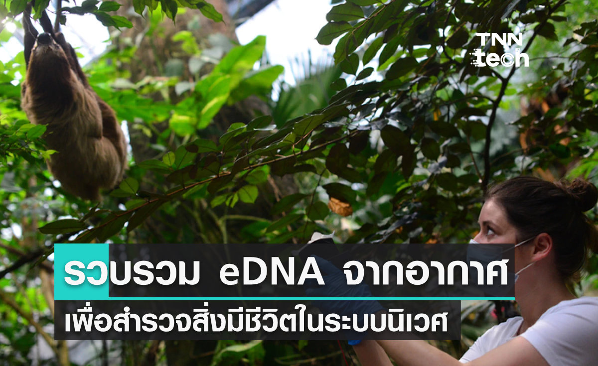 รวบรวม eDNA จากอากาศ วิธีการใหม่เพื่อสำรวจสิ่งมีชีวิตในระบบนิเวศ