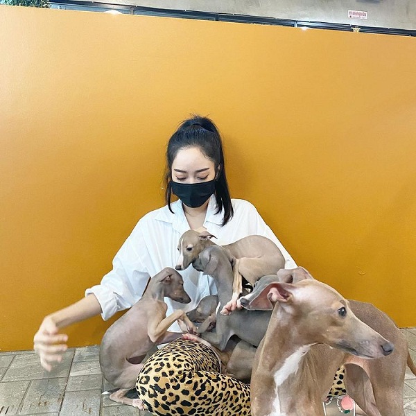“แก้มบุ๋ม” เผยเปิดคาเฟ่สัตว์ เพราะความรักหมาแมว (มีคลิป) “แก้มบุ๋ม” เผยเปิดคาเฟ่สัตว์ เพราะความรักหมาแมว (มีคลิป)
