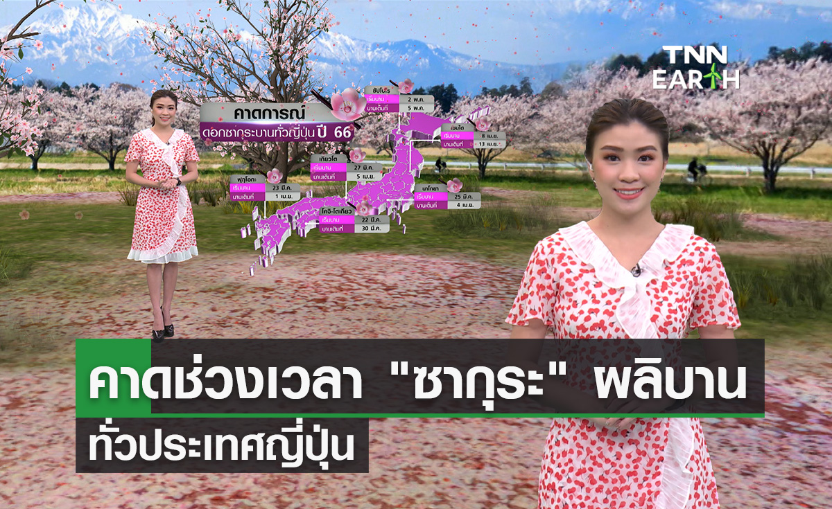 คาดการณ์ช่วงเวลา “ดอกซากุระ” ผลิบานทั่วญี่ปุ่น