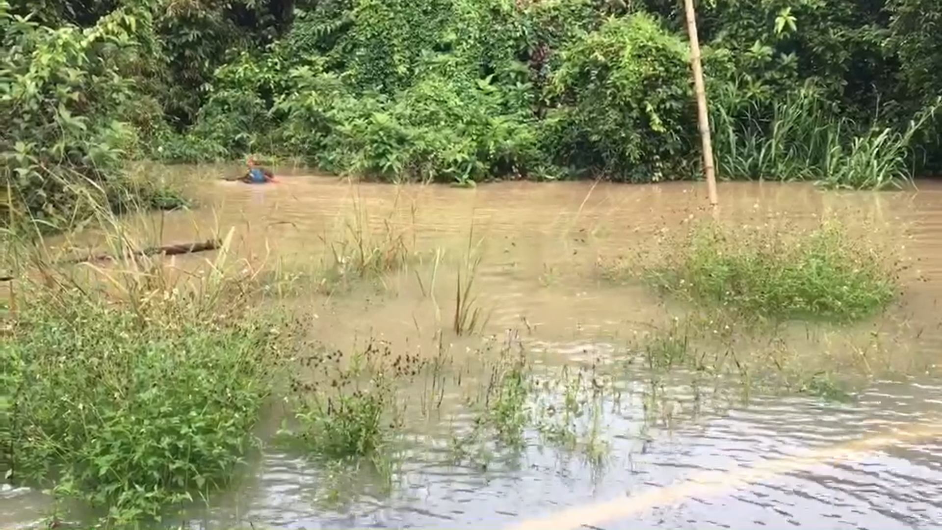 น้ำท่วมกระบี่ เตือนประชาชนขนของขึ้นที่สูง ฝนตกหนัก-น้ำหลาก 