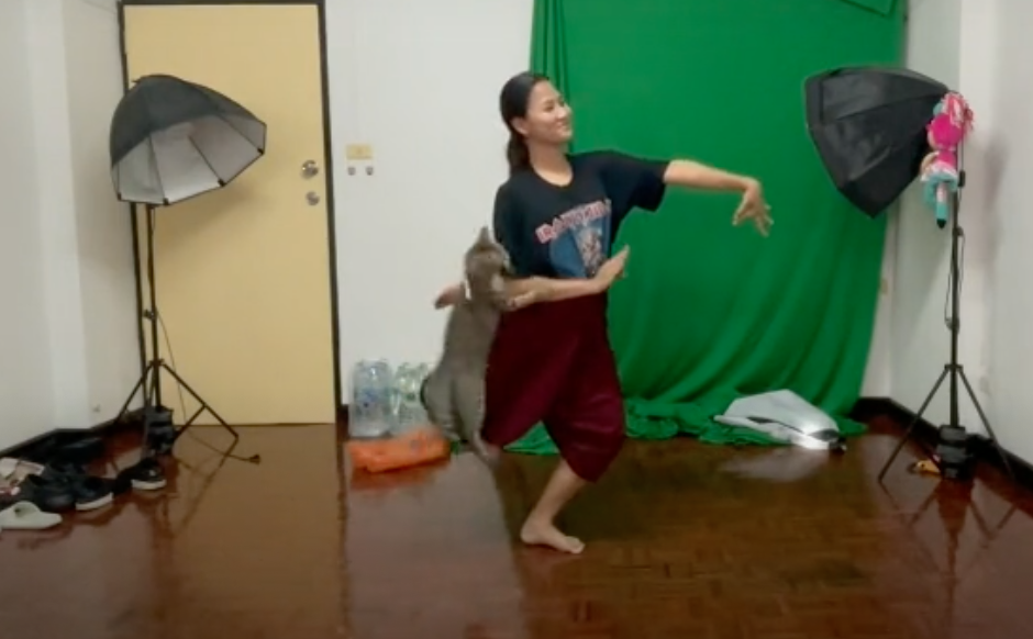 อุปสรรคเรียนออนไลน์! เหมียวป่วนเจ้าอัดท่ารำส่งอาจารย์ไม่เสร็จสักที อุปสรรคเรียนออนไลน์! เหมียวป่วนเจ้าอัดท่ารำส่งอาจารย์ไม่เสร็จสักที