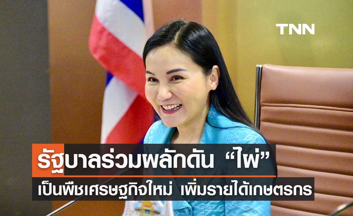 รัฐบาลร่วมผลักดัน “ไผ่” เป็นพืชเศรษฐกิจใหม่ เพิ่มรายได้เกษตรกร