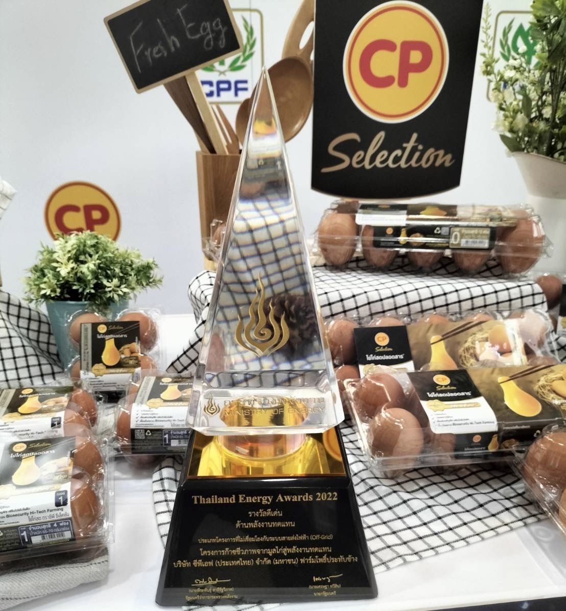 CPF ชูความสำเร็จฟาร์มไก่ไข่รักษ์โลกใช้พลังงานทดแทน ตอบโจทย์ผู้บริโภคใส่ใจสินค้าเป็นมิตรต่อสิ่งแวดล้อม CPF ชูความสำเร็จฟาร์มไก่ไข่รักษ์โลกใช้พลังงานทดแทน ตอบโจทย์ผู้บริโภคใส่ใจสินค้าเป็นมิตรต่อสิ่งแวดล้อม