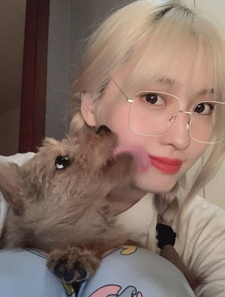 ชวนรู้จักน้องหมาสุดน่ารักของเหล่าซุปตาร์เกาหลี
