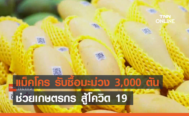 EP.4 แม็คโคร รับซื้อมะม่วง 3,000 ตัน ช่วยเกษตรกร สู้โควิด 19 (คลิป)