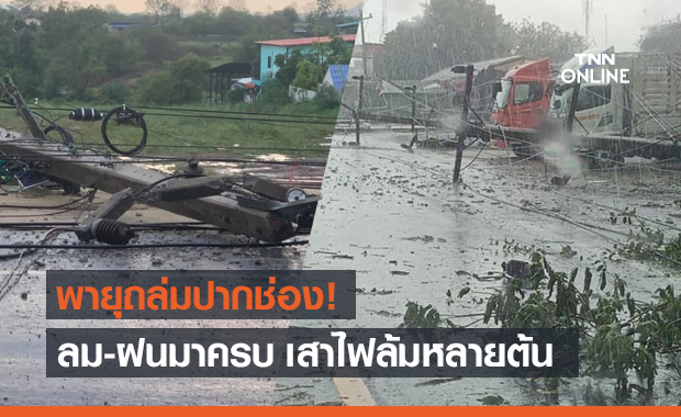 พายุฤดูร้อนถล่มปากช่อง เสาไฟ-ต้นไม้ล้มระเนระนาด
