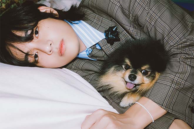 ยอนทัน น้องหมาของวี BTS กลับดาวสุนัขแล้ว