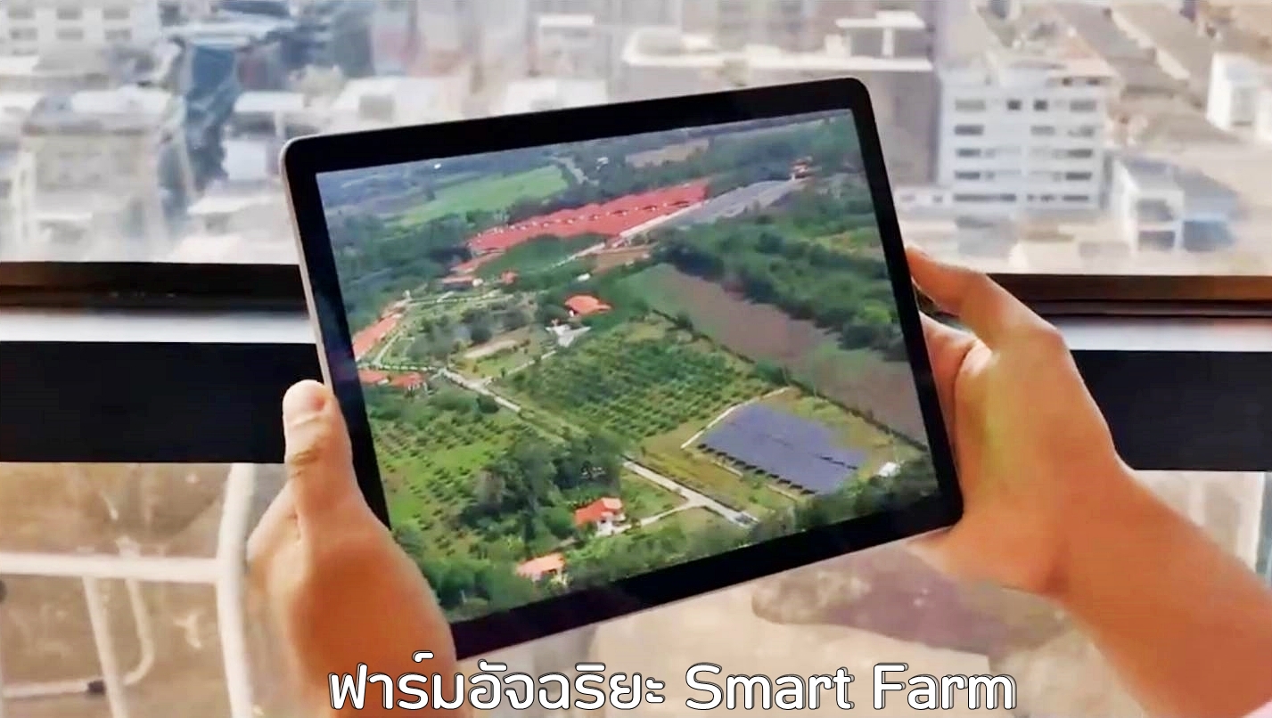 ซีพีเอฟ เดินหน้า Greenfarm - Smart Farm ยกระดับการเลี้ยงหมูปลอดภัยเป็นมิตรกับสิ่งแวดล้อม