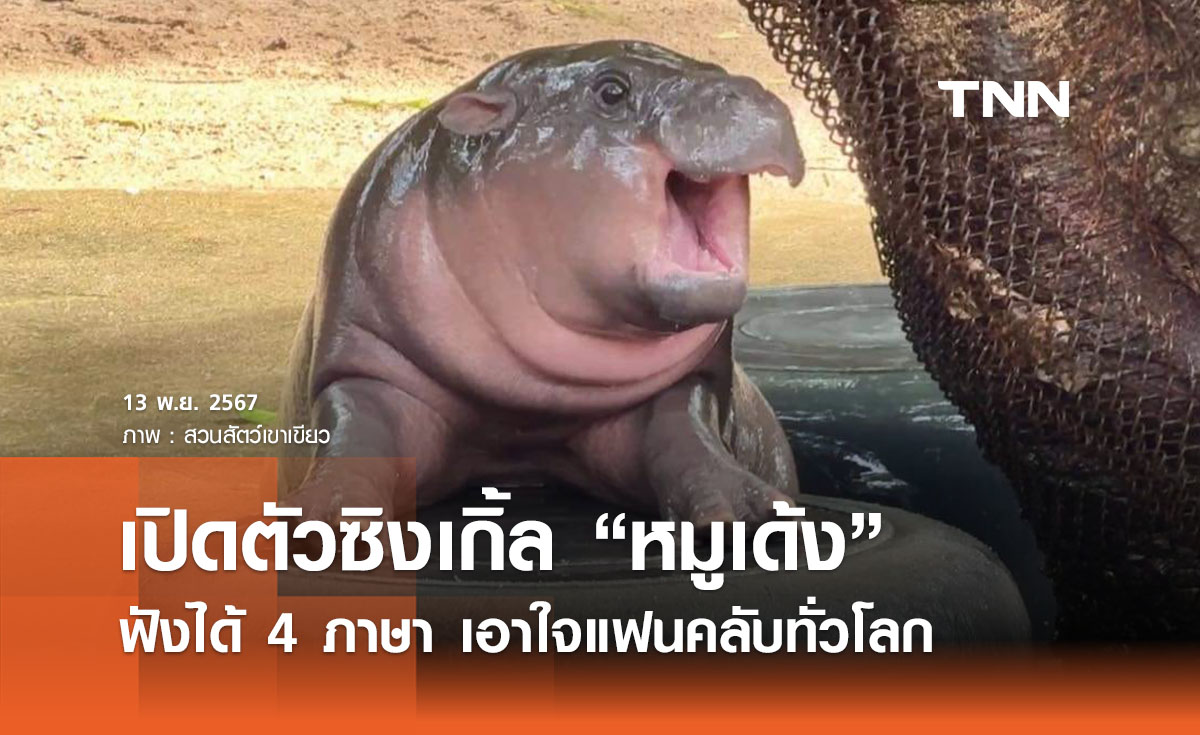 “น้องหมูเด้ง” ศิลปินสาวท่านหนึ่ง ออกซิงเกิ้ล 4 ภาษา เอาใจแฟนคลับทั่วโลก