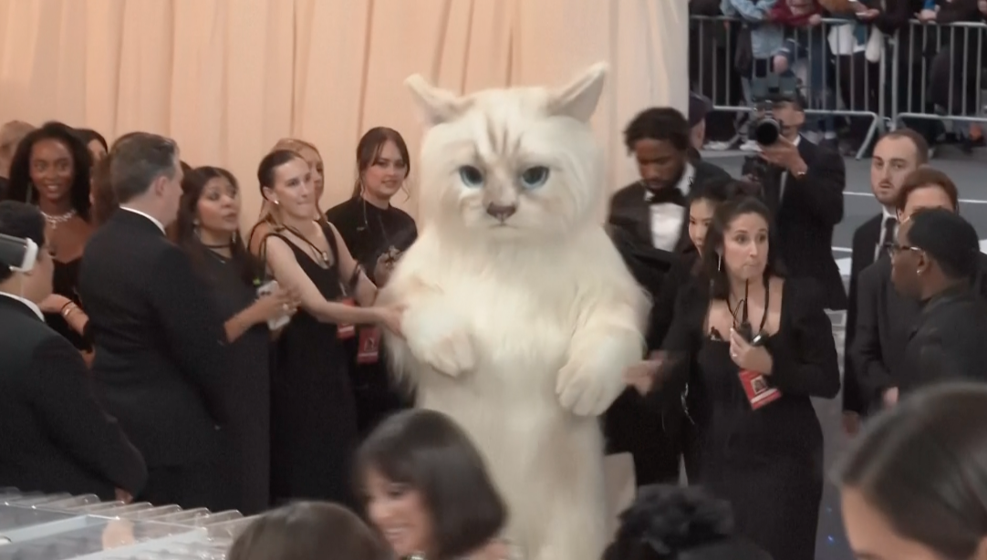 แมวยักษ์บุก Met Gala!! 'จาเรด เลโท' สร้างตำนานไม่หยุดที่งานออสการ์แห่งแฟชั่นปีนี้ แมวยักษ์บุก Met Gala!! 'จาเรด เลโท' สร้างตำนานไม่หยุดที่งานออสการ์แห่งแฟชั่นปีนี้