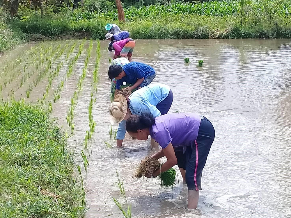 CPF สานพลังพนักงานร่วมสร้างคุณค่าทางสังคม ขับเคลื่อน CPF 2030 Sustainability in Action CPF สานพลังพนักงานร่วมสร้างคุณค่าทางสังคม ขับเคลื่อน CPF 2030 Sustainability in Action