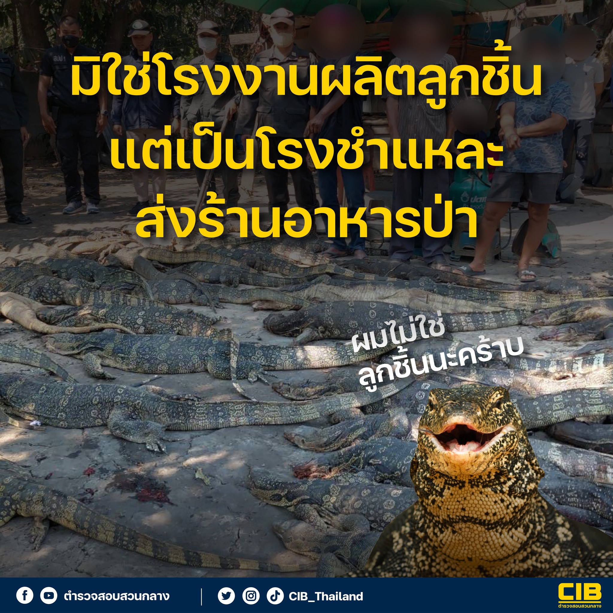 “เนื้อตัวเงินตัวทอง” กินได้ไหม - รสชาติต่างจากหนังปลาทอดอย่างไร? “เนื้อตัวเงินตัวทอง” กินได้ไหม - รสชาติต่างจากหนังปลาทอดอย่างไร?