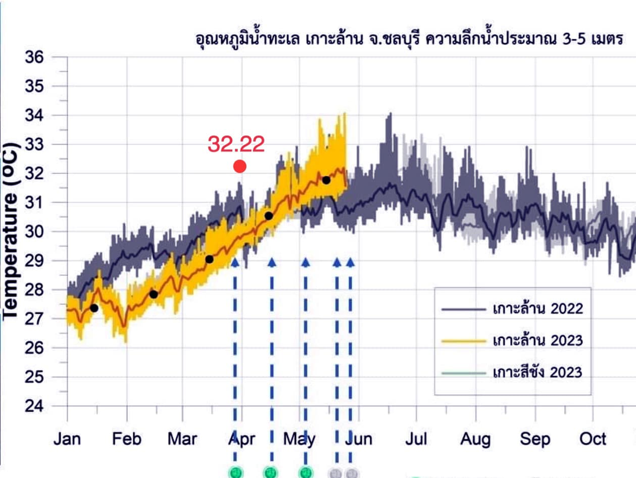 ทะเลเดือดของจริง! อุณหภูมิน้ำสูงจนน่าสะพรึง เสี่ยงปะการังฟอกขาว
