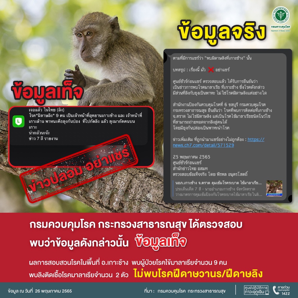 สธ.สยบข่าวปลอมพบ “โรคฝีดาษลิง” ที่เกาะช้าง ไม่จริง!