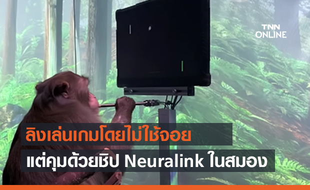 ลิงเล่นเกม Pong โดยไม่ใช้จอย แต่ควบคุมด้วยชิป Neuralink ในสมอง