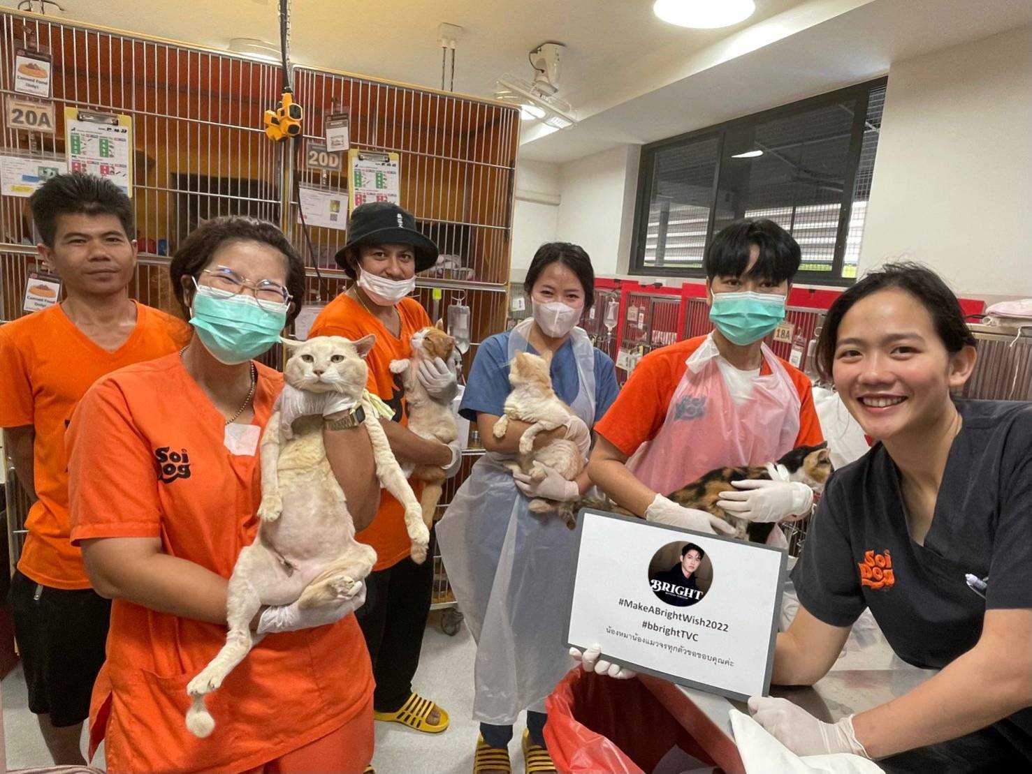 ไบร์ท วชิรวิชญ์ และแฟนคลับ บริจาค1ล้านช่วยสุนัขและแมวจรจัด