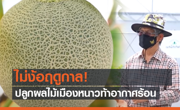 ไม่ง้อฤดูกาล! ปลูกผลไม้เมืองหนาวท้าอากาศร้อน (คลิป)