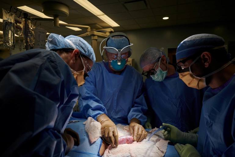 ทีมแพทย์นิวยอร์กปลูกถ่าย ไตหมู ในมนุษย์ได้สำเร็จเป็นครั้งแรกของโลก !!