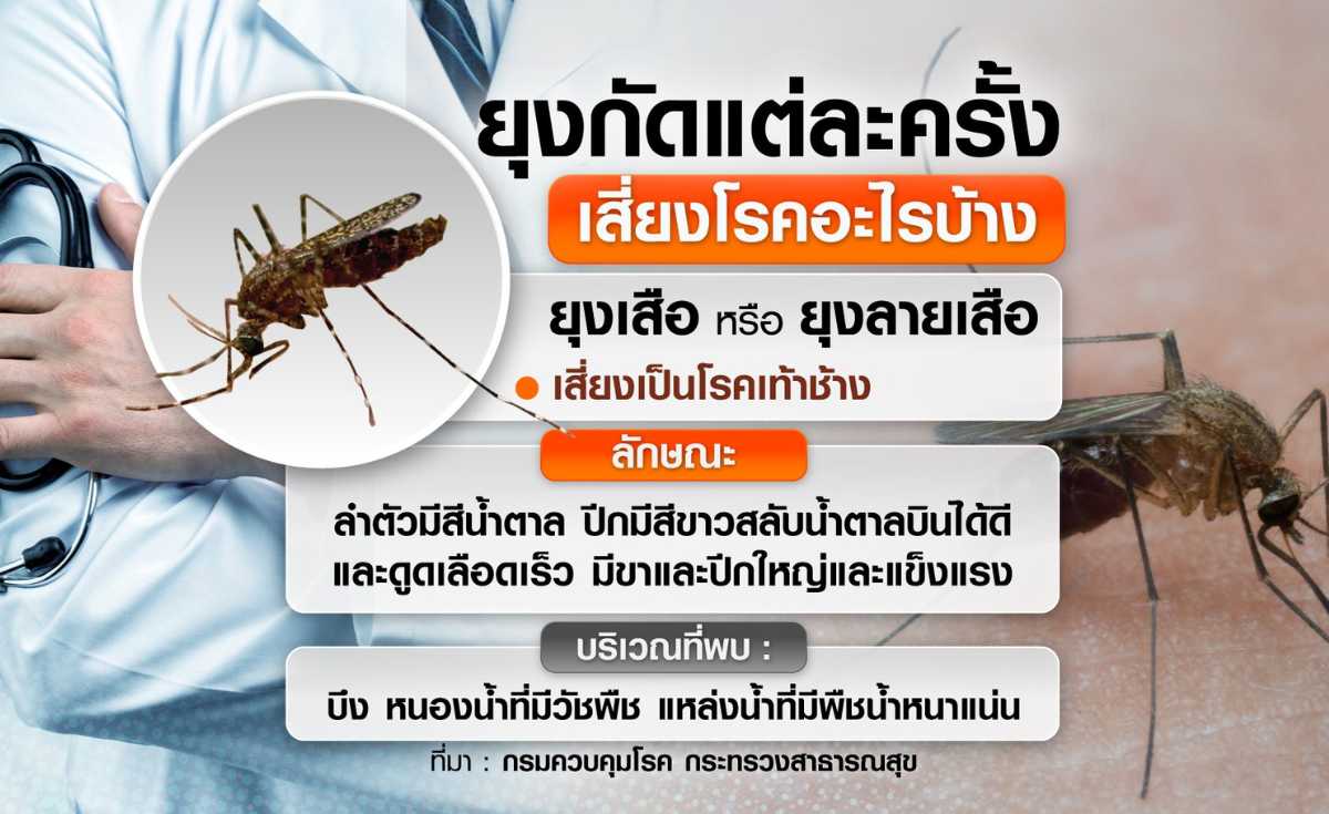 ยุงกัดแต่ละครั้ง เสี่ยงโรคอะไรบ้าง ยุงกัดแต่ละครั้ง เสี่ยงโรคอะไรบ้าง