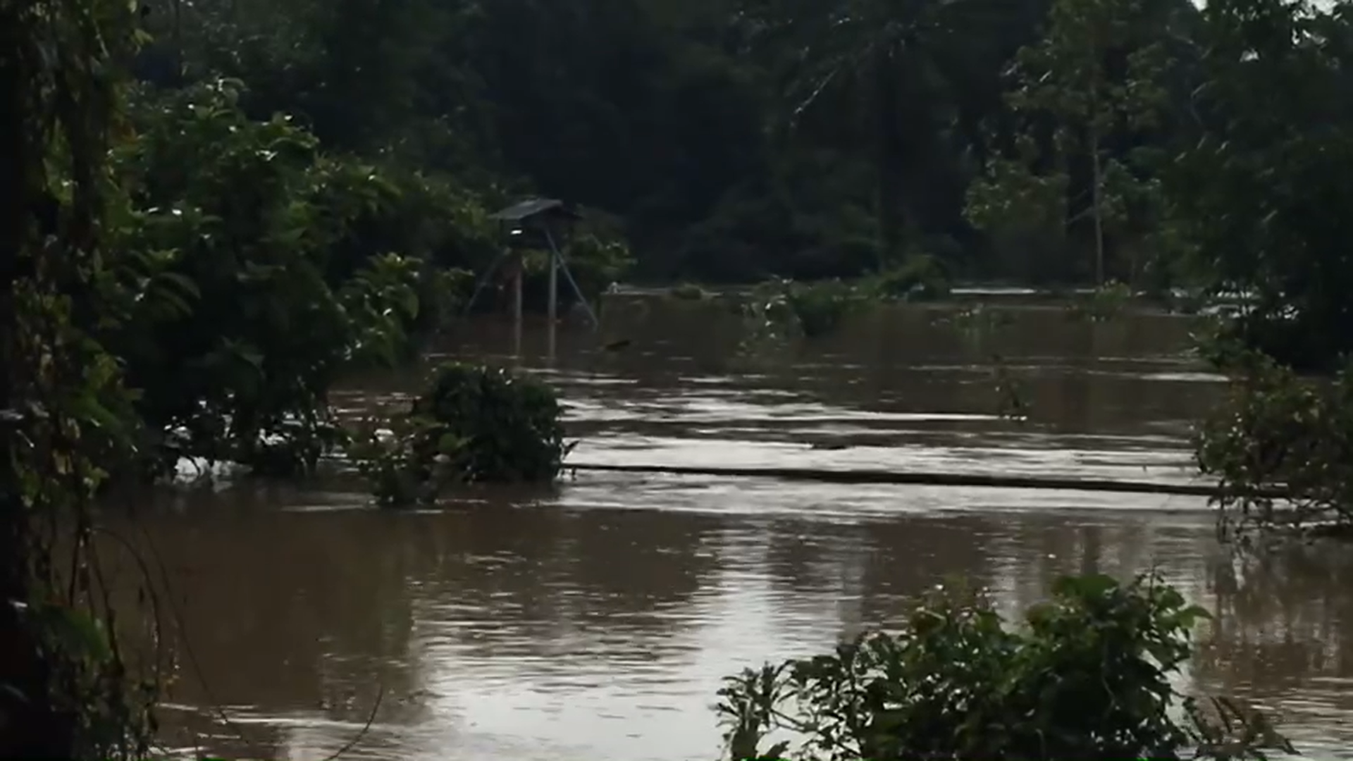 น้ำท่วมกระบี่ เตือนประชาชนขนของขึ้นที่สูง ฝนตกหนัก-น้ำหลาก 