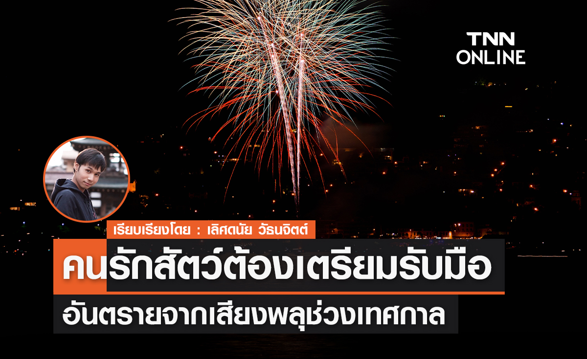อันตรายจากเสียงพลุ ที่คนรักสัตว์ต้องเตรียมรับมือ อันตรายจากเสียงพลุ ที่คนรักสัตว์ต้องเตรียมรับมือ