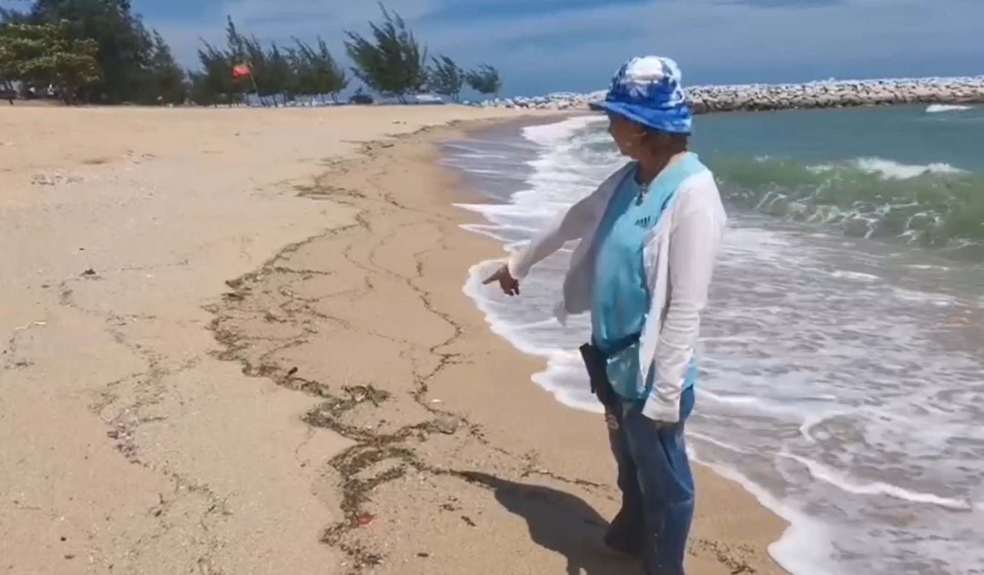 ชาวบ้านผงะ! แมลงนับล้านตัวลอยตายเกยหาดระยอง ยาวกว่า 3 กม.