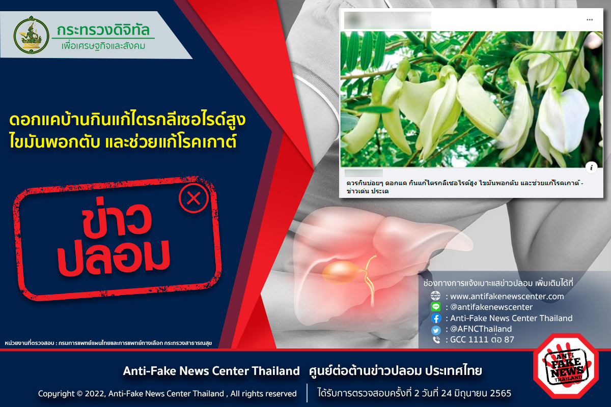 จริงหรือไม่? กินดอกแคบ้านแก้ “ไขมันพอกตับ-โรคเกาต์ ” จริงหรือไม่? กินดอกแคบ้านแก้ “ไขมันพอกตับ-โรคเกาต์ ”