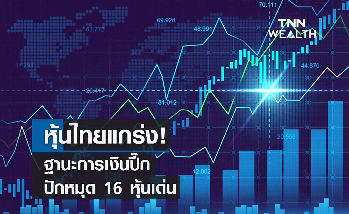  โบรกมองหุ้นไทยแกร่ง -  ฐานะการเงินปึ๊ก ปักหมุด 16 หุ้นเด่น