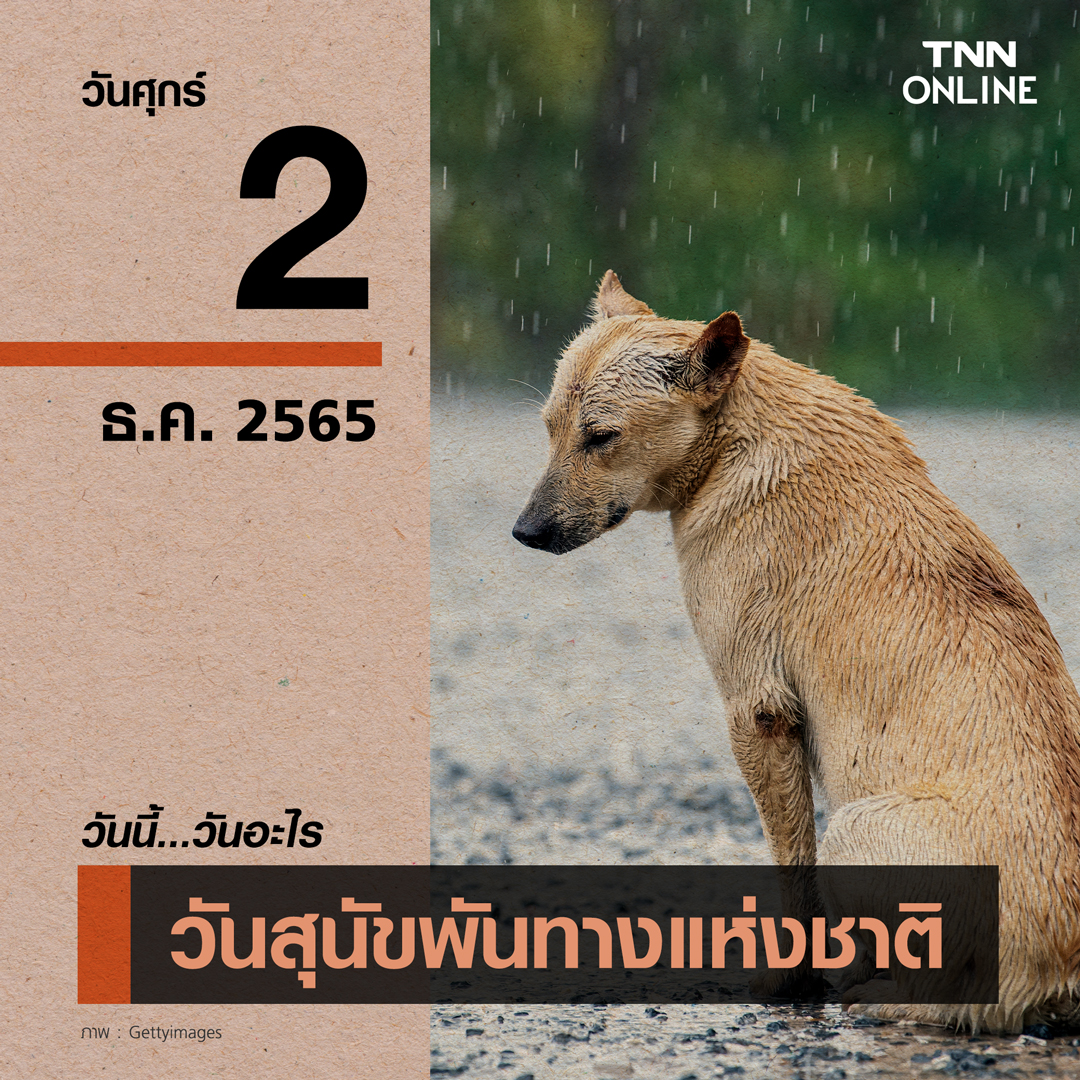 วันนี้วันอะไร 2 ธันวาคม ตรงกับ “วันสุนัขพันทางแห่งชาติ” 