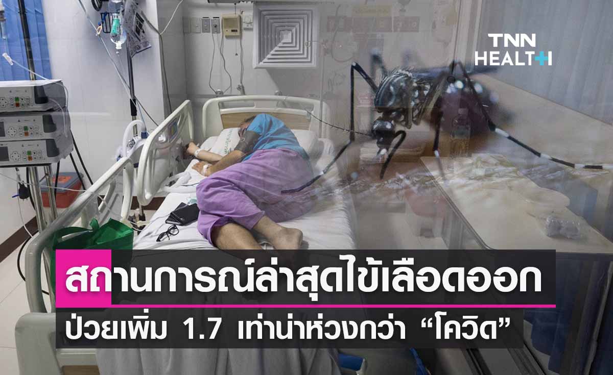 “ไข้เลือดออก” สถานการณ์ล่าสุด ป่วยเพิ่ม 1.7 เท่าน่าห่วงกว่า “โควิด”